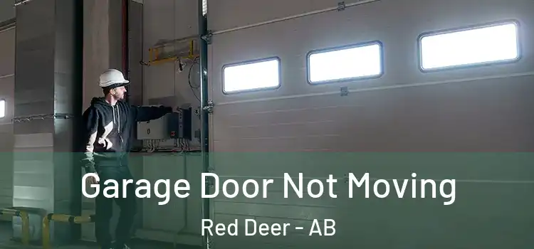  Garage Door Not Moving Red Deer - AB