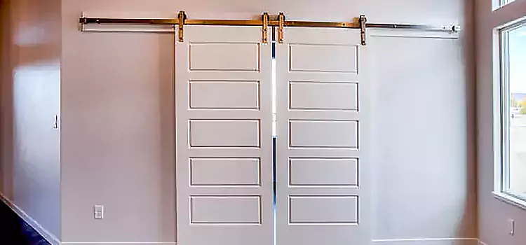 Glass Barn Door with Installation Hardware Kit Red Deer